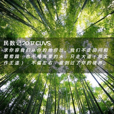 Picture 02 - 民 数 记 20:17 CUVS - 求 你 容 我 们 从 你 的 地 经 过 。 - Bible Verse Picture