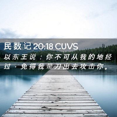Picture 02 - 民 数 记 20:18 CUVS - 以 东 王 说 ： 你 不 可 从 我 的 地 - Bible Verse Picture