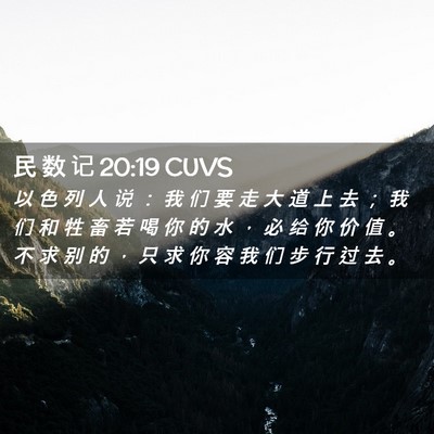 Picture 02 - 民 数 记 20:19 CUVS - 以 色 列 人 说 ： 我 们 要 走 大 道 - Bible Verse Picture