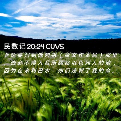 Picture 02 - 民 数 记 20:24 CUVS - 亚 伦 要 归 到 他 列 祖 （ 原 文 作 - Bible Verse Picture