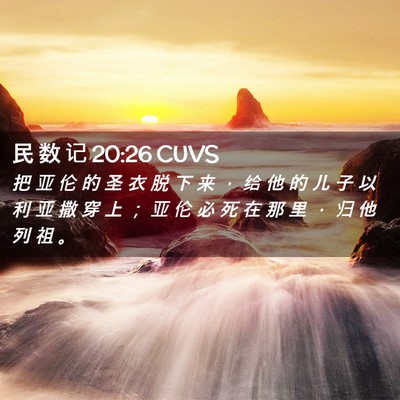 Picture 02 - 民 数 记 20:26 CUVS - 把 亚 伦 的 圣 衣 脱 下 来 ， 给 他 - Bible Verse Picture