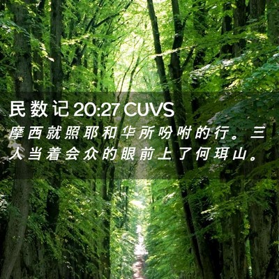 Picture 02 - 民 数 记 20:27 CUVS - 摩 西 就 照 耶 和 华 所 吩 咐 的 行 - Bible Verse Picture