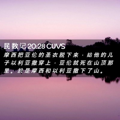 Picture 02 - 民 数 记 20:28 CUVS - 摩 西 把 亚 伦 的 圣 衣 脱 下 来 ， - Bible Verse Picture