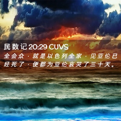 Picture 02 - 民 数 记 20:29 CUVS - 全 会 众 ， 就 是 以 色 列 全 家 ， - Bible Verse Picture