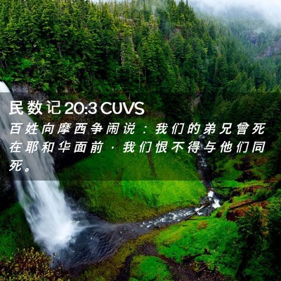 Picture 02 - 民 数 记 20:3 CUVS - 百 姓 向 摩 西 争 闹 说 ： 我 们 的 - Bible Verse Picture