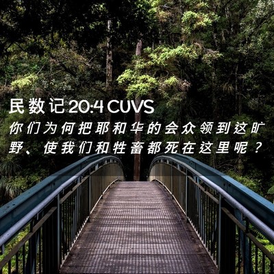 Picture 02 - 民 数 记 20:4 CUVS - 你 们 为 何 把 耶 和 华 的 会 众 领 - Bible Verse Picture