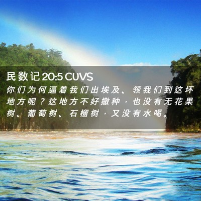 Picture 02 - 民 数 记 20:5 CUVS - 你 们 为 何 逼 着 我 们 出 埃 及 、 - Bible Verse Picture