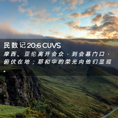 Picture 02 - 民 数 记 20:6 CUVS - 摩 西 、 亚 伦 离 开 会 众 ， 到 会 - Bible Verse Picture