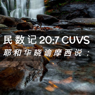 Picture 02 - 民 数 记 20:7 CUVS - 耶 和 华 晓 谕 摩 西 说 - Bible Verse Picture
