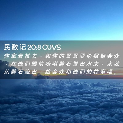 Picture 02 - 民 数 记 20:8 CUVS - 你 拿 着 杖 去 ， 和 你 的 哥 哥 亚 - Bible Verse Picture