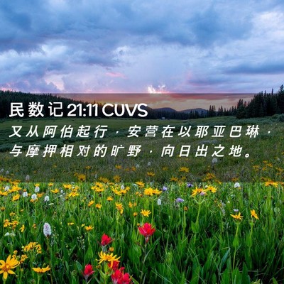 Picture 02 - 民 数 记 21:11 CUVS - 又 从 阿 伯 起 行 ， 安 营 在 以 耶 - Bible Verse Picture