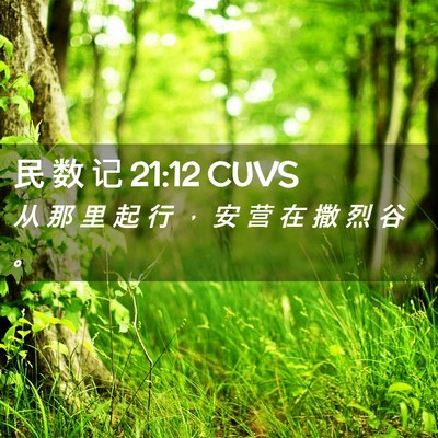 Picture 02 - 民 数 记 21:12 CUVS - 从 那 里 起 行 ， 安 营 在 撒 烈 谷 - Bible Verse Picture