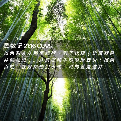 Picture 02 - 民 数 记 21:16 CUVS - 以 色 列 人 从 那 里 起 行 ， 到 了 - Bible Verse Picture
