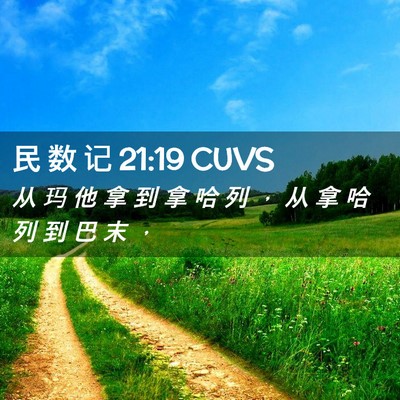 Picture 02 - 民 数 记 21:19 CUVS - 从 玛 他 拿 到 拿 哈 列 ， 从 拿 哈 - Bible Verse Picture