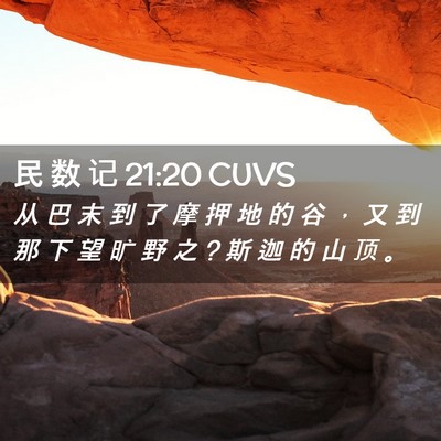 Picture 02 - 民 数 记 21:20 CUVS - 从 巴 末 到 了 摩 押 地 的 谷 ， 又 - Bible Verse Picture