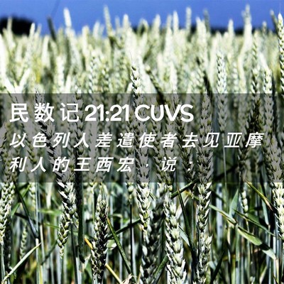 Picture 02 - 民 数 记 21:21 CUVS - 以 色 列 人 差 遣 使 者 去 见 亚 摩 - Bible Verse Picture