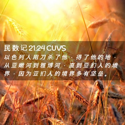 Picture 02 - 民 数 记 21:24 CUVS - 以 色 列 人 用 刀 杀 了 他 ， 得 了 - Bible Verse Picture