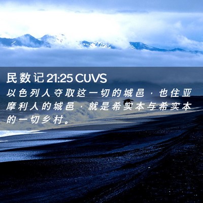 Picture 02 - 民 数 记 21:25 CUVS - 以 色 列 人 夺 取 这 一 切 的 城 邑 - Bible Verse Picture