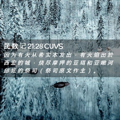 Picture 02 - 民 数 记 21:28 CUVS - 因 为 有 火 从 希 实 本 发 出 ， 有 - Bible Verse Picture