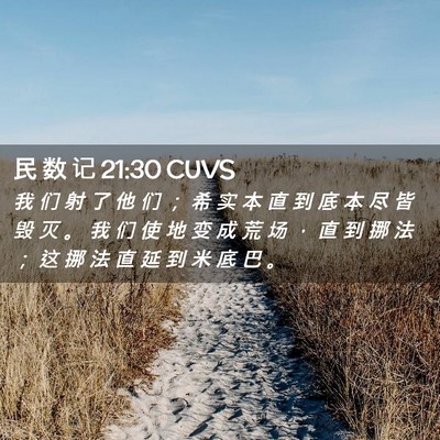 Picture 02 - 民 数 记 21:30 CUVS - 我 们 射 了 他 们 ； 希 实 本 直 到 - Bible Verse Picture