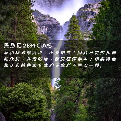 Picture 02 - 民 数 记 21:34 CUVS - 耶 和 华 对 摩 西 说 ： 不 要 怕 他 - Bible Verse Picture