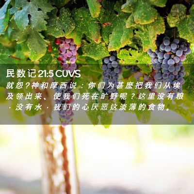 Picture 02 - 民 数 记 21:5 CUVS - 就 怨 ? 神 和 摩 西 说 ： 你 们 为 甚 - Bible Verse Picture