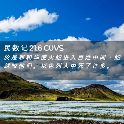 Picture 02 - 民 数 记 21:6 CUVS - 於 是 耶 和 华 使 火 蛇 进 入 百 姓 - Bible Verse Picture