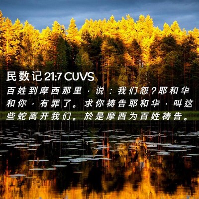 Picture 02 - 民 数 记 21:7 CUVS - 百 姓 到 摩 西 那 里 ， 说 ： 我 们 - Bible Verse Picture