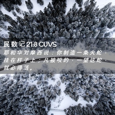 Picture 02 - 民 数 记 21:8 CUVS - 耶 和 华 对 摩 西 说 ： 你 制 造 一 - Bible Verse Picture