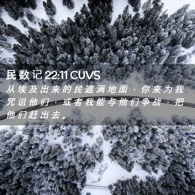 Picture 02 - 民 数 记 22:11 CUVS - 从 埃 及 出 来 的 民 遮 满 地 面 ， - Bible Verse Picture