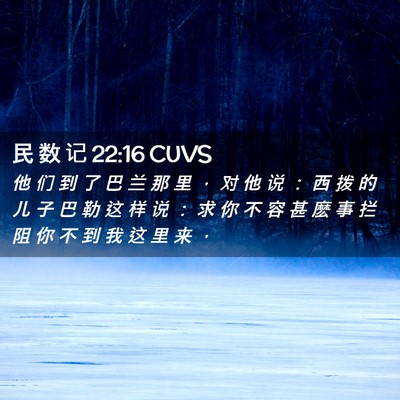 Picture 02 - 民 数 记 22:16 CUVS - 他 们 到 了 巴 兰 那 里 ， 对 他 说 - Bible Verse Picture