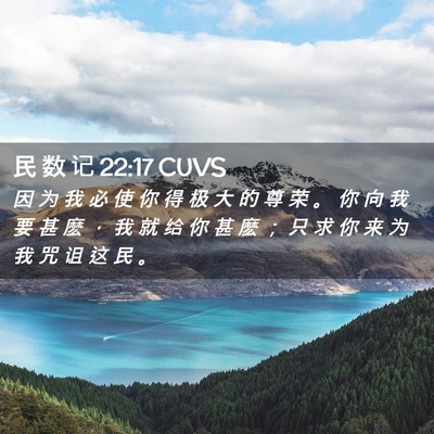 Picture 02 - 民 数 记 22:17 CUVS - 因 为 我 必 使 你 得 极 大 的 尊 荣 - Bible Verse Picture