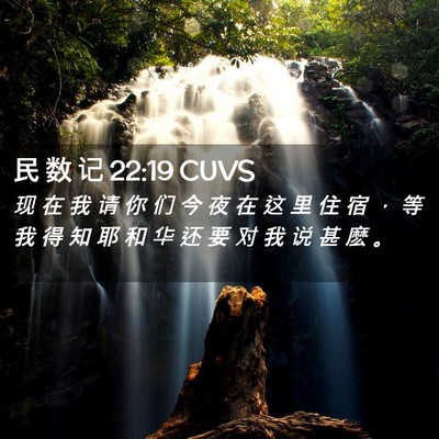 Picture 02 - 民 数 记 22:19 CUVS - 现 在 我 请 你 们 今 夜 在 这 里 住 - Bible Verse Picture
