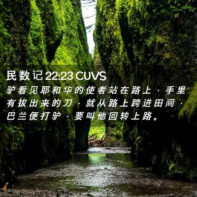 Picture 02 - 民 数 记 22:23 CUVS - 驴 看 见 耶 和 华 的 使 者 站 在 路 - Bible Verse Picture