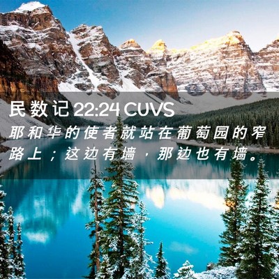 Picture 02 - 民 数 记 22:24 CUVS - 耶 和 华 的 使 者 就 站 在 葡 萄 园 - Bible Verse Picture