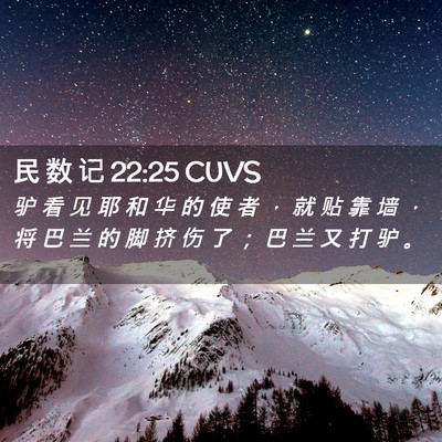 Picture 02 - 民 数 记 22:25 CUVS - 驴 看 见 耶 和 华 的 使 者 ， 就 贴 - Bible Verse Picture