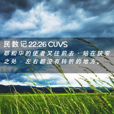 Picture 02 - 民 数 记 22:26 CUVS - 耶 和 华 的 使 者 又 往 前 去 ， 站 - Bible Verse Picture
