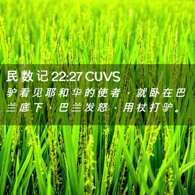 Picture 02 - 民 数 记 22:27 CUVS - 驴 看 见 耶 和 华 的 使 者 ， 就 卧 - Bible Verse Picture