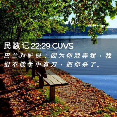Picture 02 - 民 数 记 22:29 CUVS - 巴 兰 对 驴 说 ： 因 为 你 戏 弄 我 - Bible Verse Picture