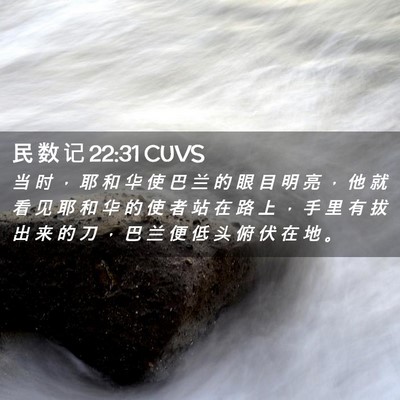 Picture 02 - 民 数 记 22:31 CUVS - 当 时 ， 耶 和 华 使 巴 兰 的 眼 目 - Bible Verse Picture