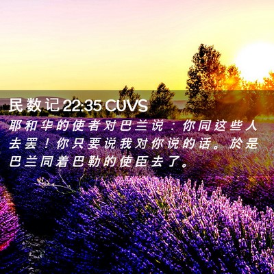Picture 02 - 民 数 记 22:35 CUVS - 耶 和 华 的 使 者 对 巴 兰 说 ： 你 - Bible Verse Picture