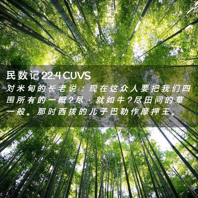 Picture 02 - 民 数 记 22:4 CUVS - 对 米 甸 的 长 老 说 ： 现 在 这 众 - Bible Verse Picture