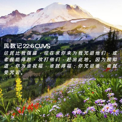 Picture 02 - 民 数 记 22:6 CUVS - 这 民 比 我 强 盛 ， 现 在 求 你 来 - Bible Verse Picture