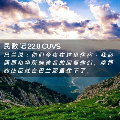 Picture 02 - 民 数 记 22:8 CUVS - 巴 兰 说 ： 你 们 今 夜 在 这 里 住 - Bible Verse Picture