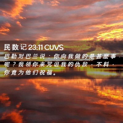 Picture 02 - 民 数 记 23:11 CUVS - 巴 勒 对 巴 兰 说 ： 你 向 我 做 的 - Bible Verse Picture