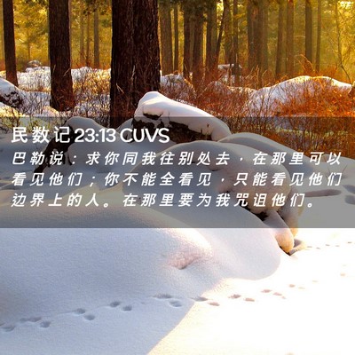 Picture 02 - 民 数 记 23:13 CUVS - 巴 勒 说 ： 求 你 同 我 往 别 处 去 - Bible Verse Picture