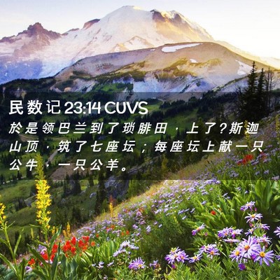 Picture 02 - 民 数 记 23:14 CUVS - 於 是 领 巴 兰 到 了 琐 腓 田 ， 上 - Bible Verse Picture