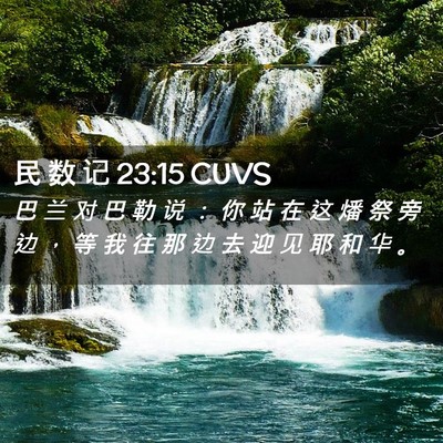 Picture 02 - 民 数 记 23:15 CUVS - 巴 兰 对 巴 勒 说 ： 你 站 在 这 燔 - Bible Verse Picture