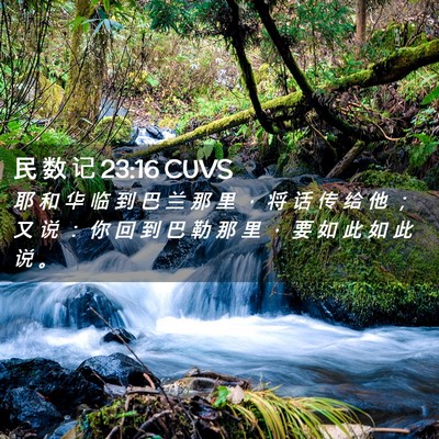 Picture 02 - 民 数 记 23:16 CUVS - 耶 和 华 临 到 巴 兰 那 里 ， 将 话 - Bible Verse Picture