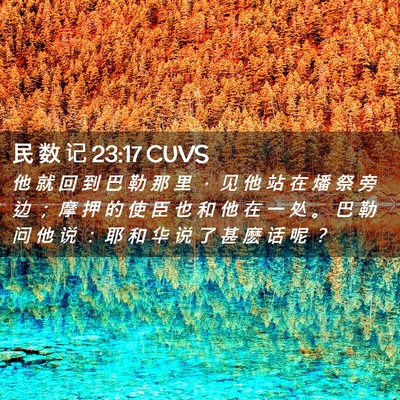 Picture 02 - 民 数 记 23:17 CUVS - 他 就 回 到 巴 勒 那 里 ， 见 他 站 - Bible Verse Picture